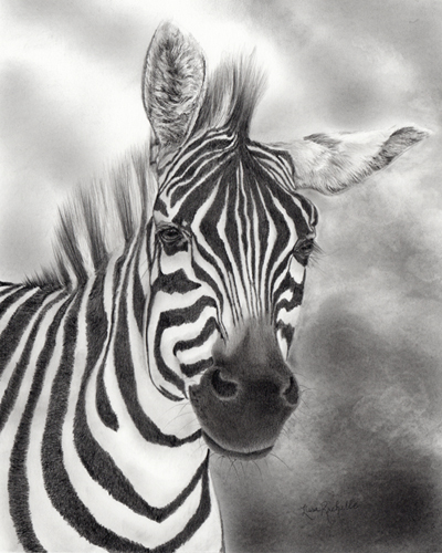pencil drawing zebra stripes