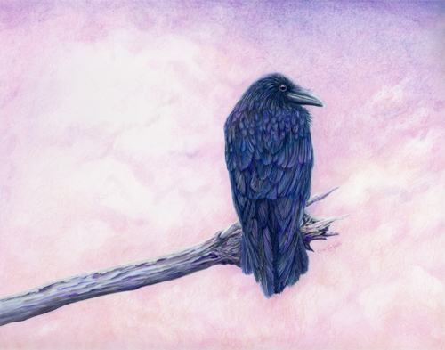 colored_pencil_drawing_raven_on_branch_against_pink_sky.jpg