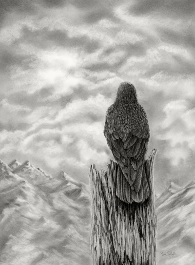 pencil_drawing_crow_on_tree_looking_at_mountains_vantage_point