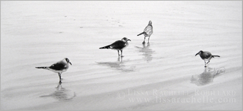 pencil_drawing_gulls_seagulls_birds_walk_this_way